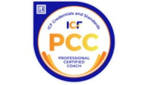 Team Coaching Competencies